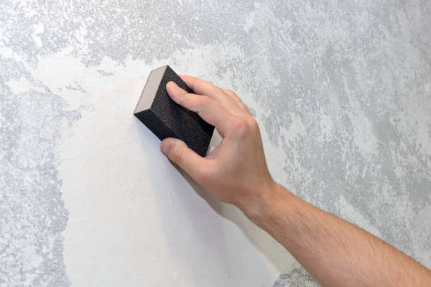 Best Mold Removal for HVAC Installations  in Johnsonville, SC