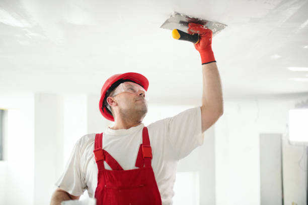 Best Emergency Mold Remediation  in Johnsonville, SC
