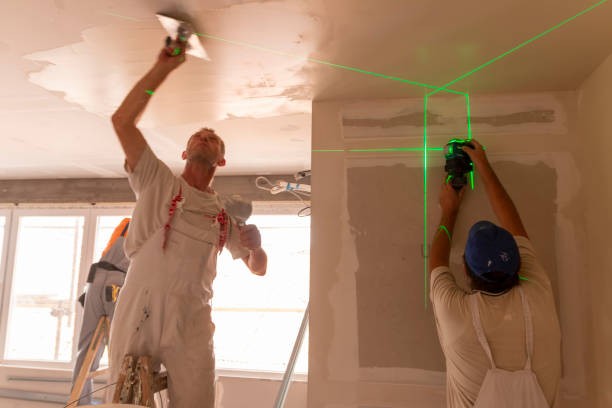 Best Post-Construction Mold Inspection  in Johnsonville, SC